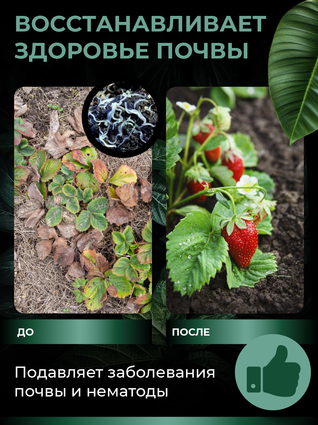 Удобрение для растений - универсальный комплекс аминокислот Амино Микс в гранулах, 50г — изображение 2