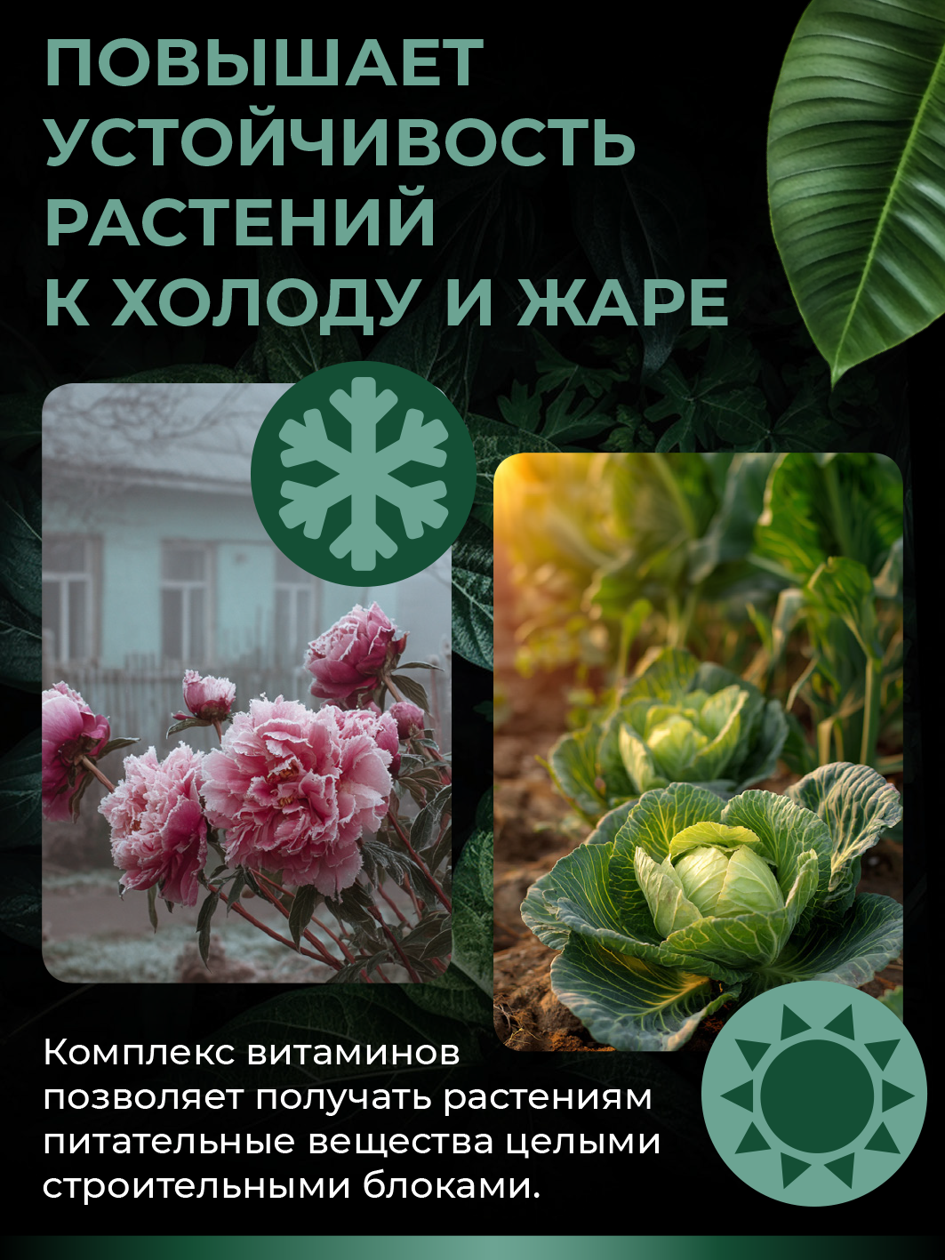 Удобрение для растений - Калийно-фосфорный комплекс с аминокислотами (концентрат в ампуле), 5 мл — изображение 3