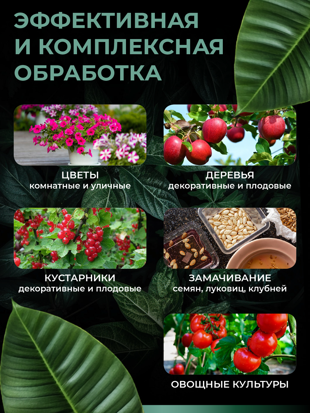 Удобрение для растений - комплекс альгиновых кислот Алга (концентрат), 250мл — изображение 5