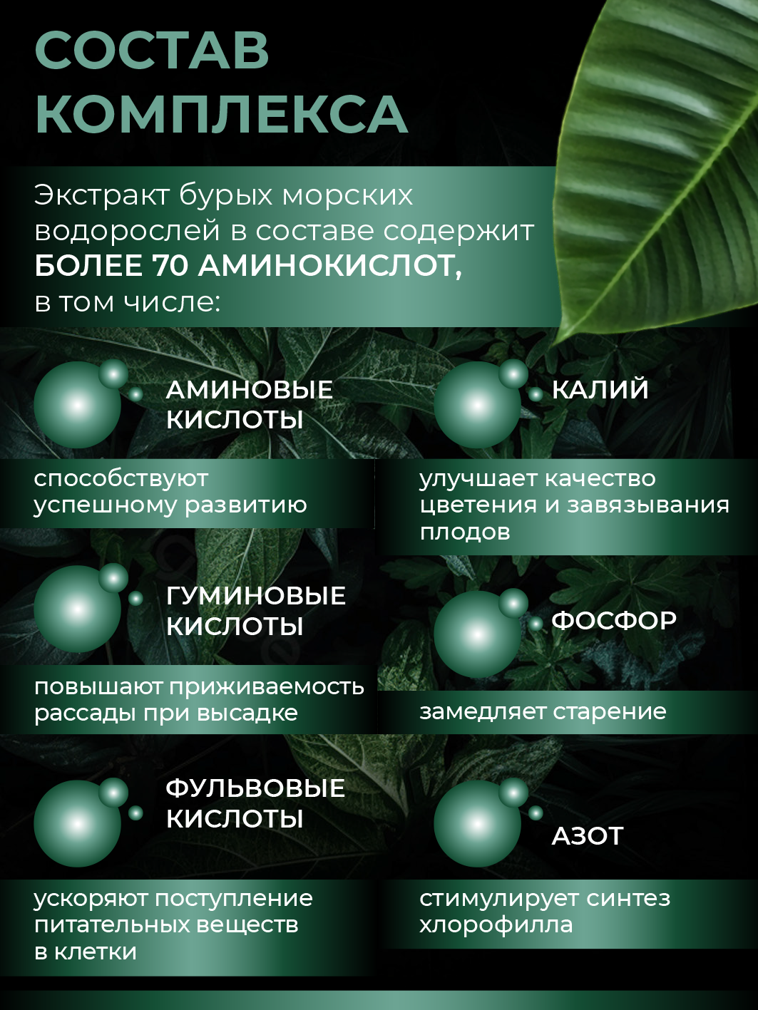 Удобрение для растений - универсальный комплекс аминокислот Амино Микс в гранулах, 50г — изображение 6