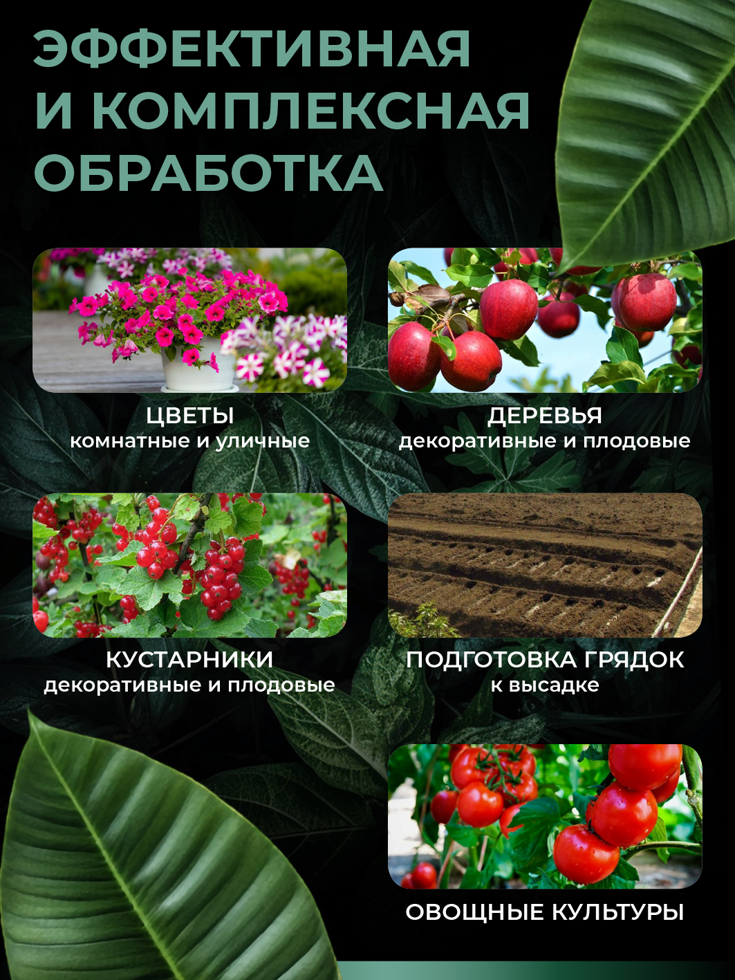 Удобрение для растений - универсальный комплекс аминокислот Амино Микс в гранулах, 50г — изображение 7
