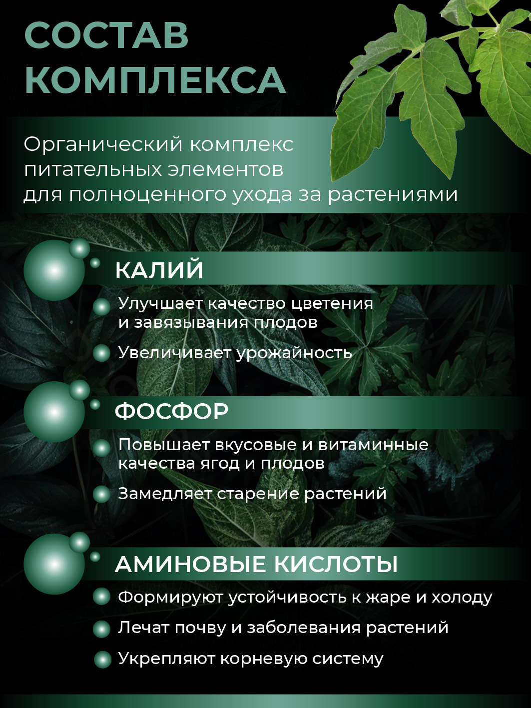 Удобрение для растений - Калийно-фосфорный комплекс с аминокислотами (концентрат в ампуле), 5 мл — изображение 7