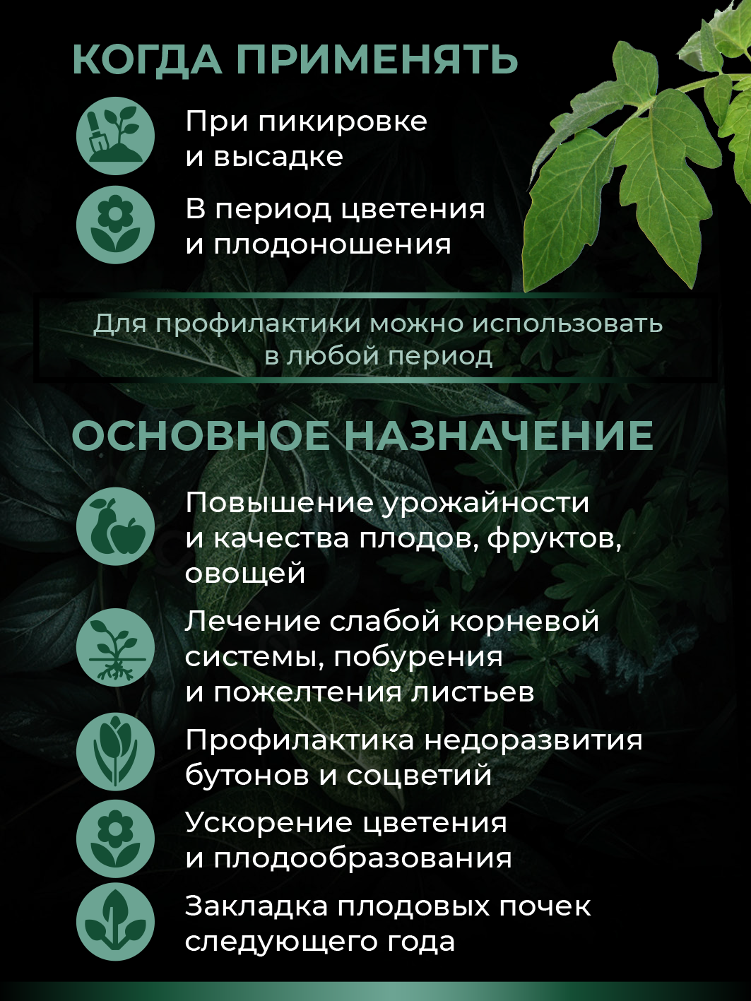 Удобрение для растений - Калийно-фосфорный комплекс с аминокислотами (концентрат в ампуле), 5 мл — изображение 8