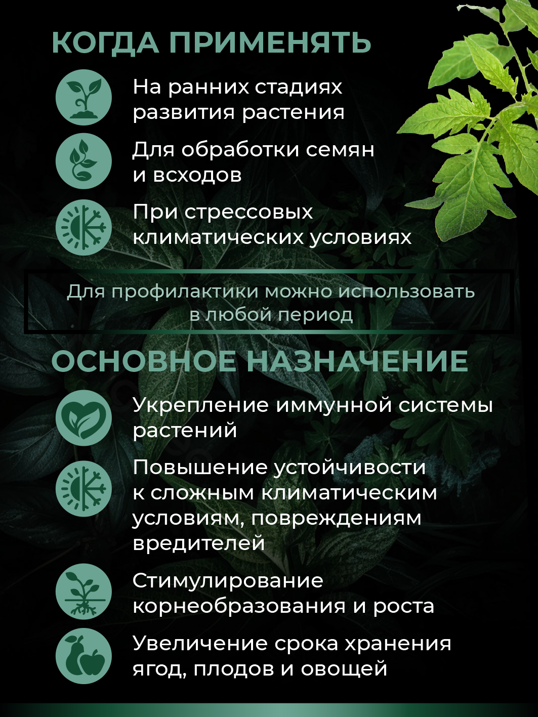 Удобрение для растений - комплекс альгиновых кислот Алга (концентрат), 250мл — изображение 8