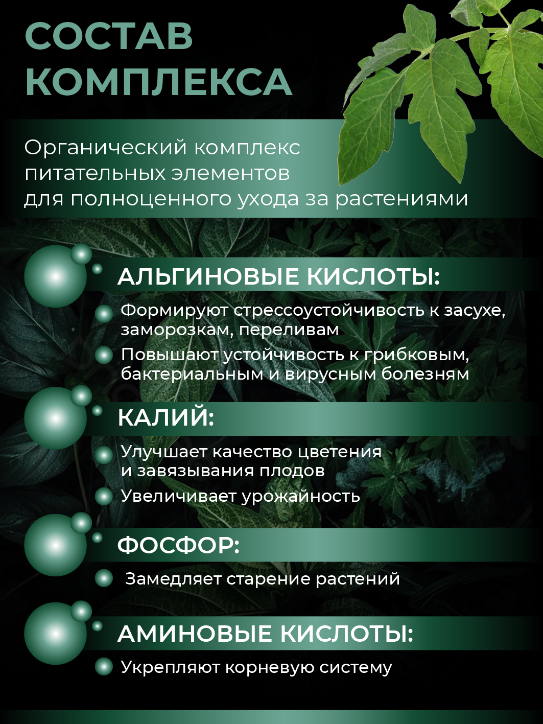 Удобрение для растений - комплекс альгиновых кислот Алга (концентрат), 250мл — изображение 9